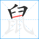 鼠5